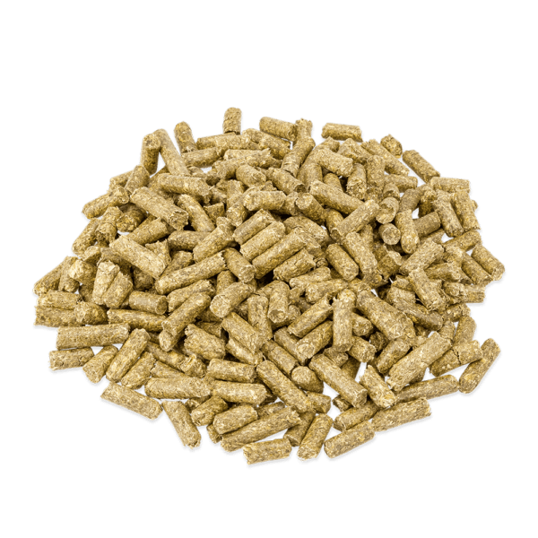 Digestfit Esparcette 15kg - Afbeelding 2