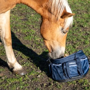 Grooming bag 
