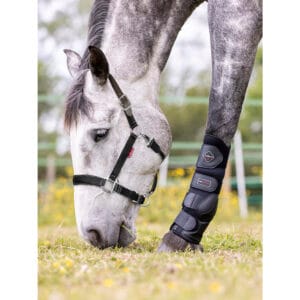 Break Away Headcollar: Veiligheidshalster