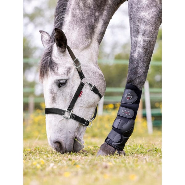Break Away Headcollar: Veiligheidshalster
